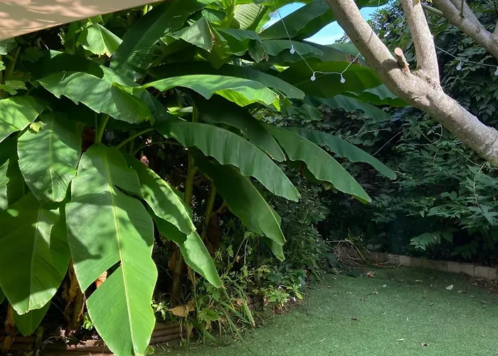 Tres Bel Appartement Avec Jardin Reposant